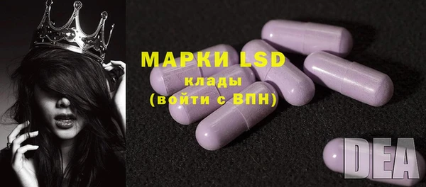 метадон Богданович