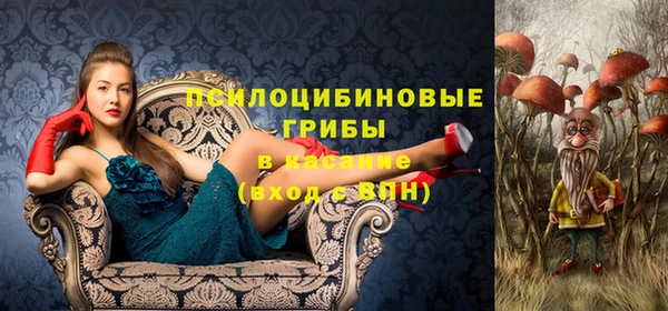 метадон Богданович