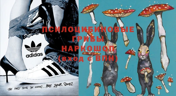 метадон Богданович
