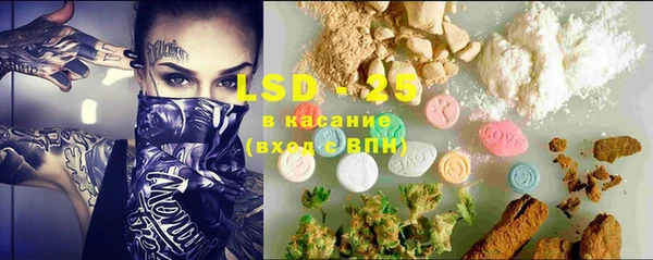 метадон Богданович