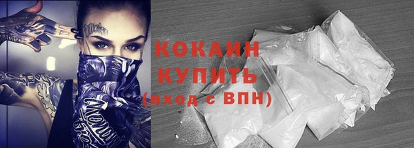 метадон Богданович