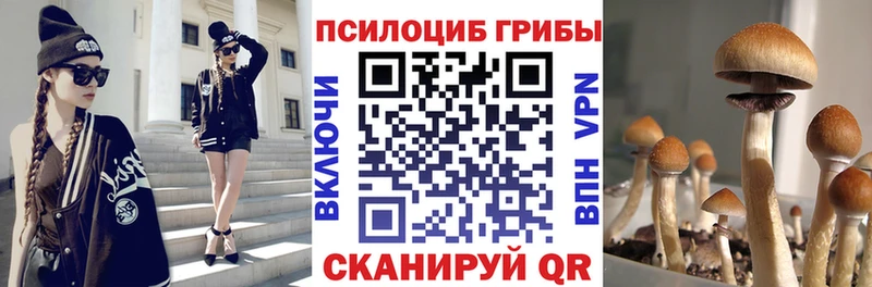цены наркотик  Мурино  Галлюциногенные грибы Magic Shrooms 