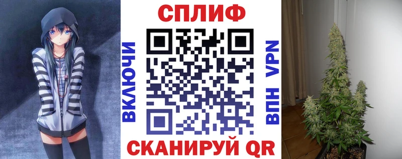 Канабис конопля  Мурино 